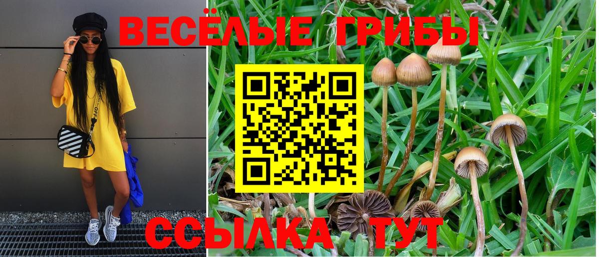 Псилоцибиновые грибы мухоморы Рубцовск