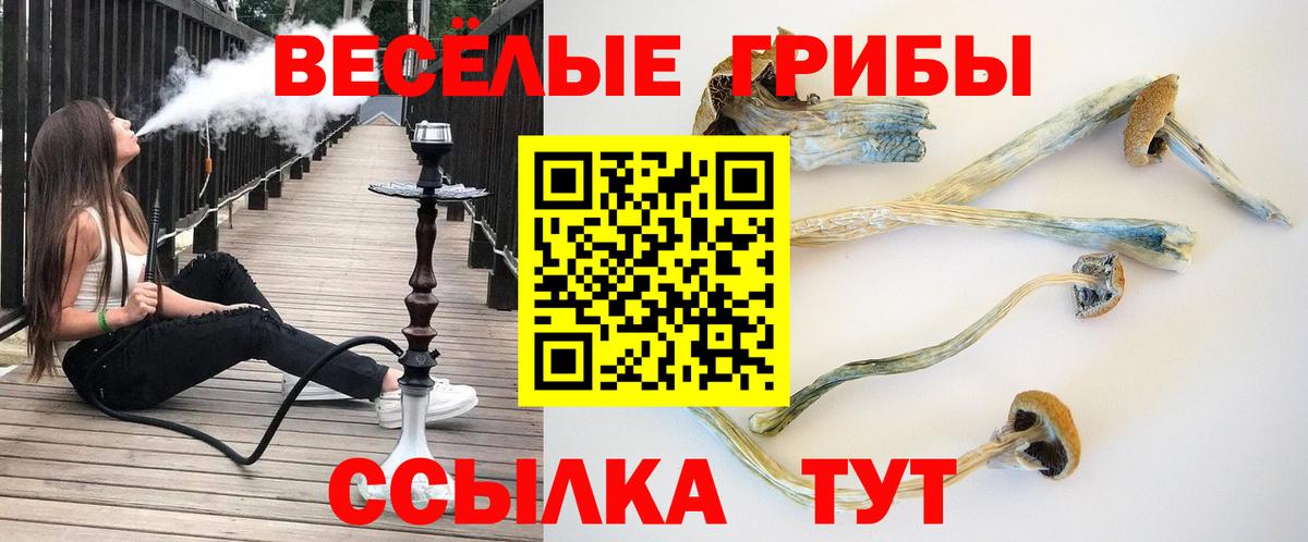 Рубцовск  Псилоцибиновые грибы прущие грибы  Псилоцибиновые грибы MAGIC MUSHROOMS  Вход с VPN 
