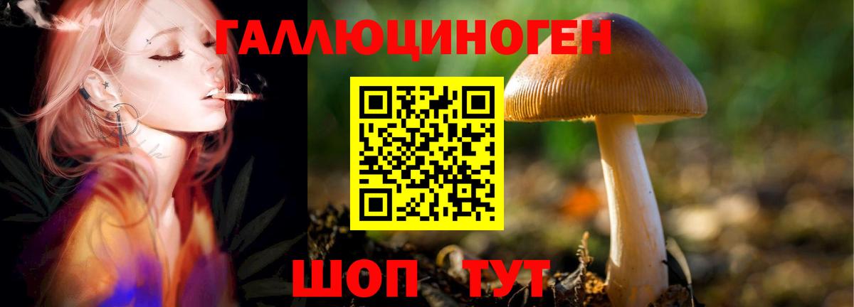 Канабис Рубцовск